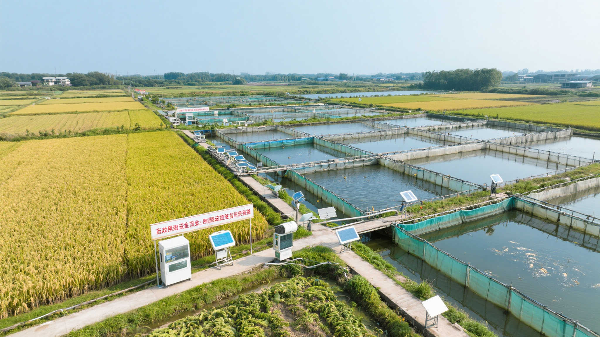 谷城：联动治水 激发乡村振兴新活力